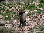 2012.04.08 Ostern Dennis&Brigi15